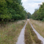 Afscheid ds. Gerda Lubbersen