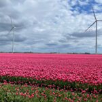 Proef & Beleef Swifterbant: wil jij in onze stand staan?